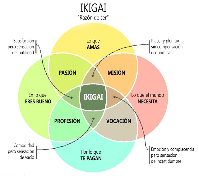 Ogranizadores graficos visuales